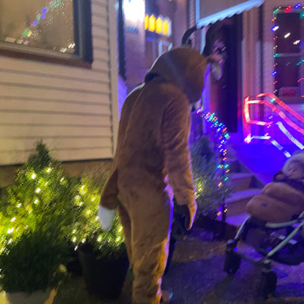 Meet your Posher, Jahmir